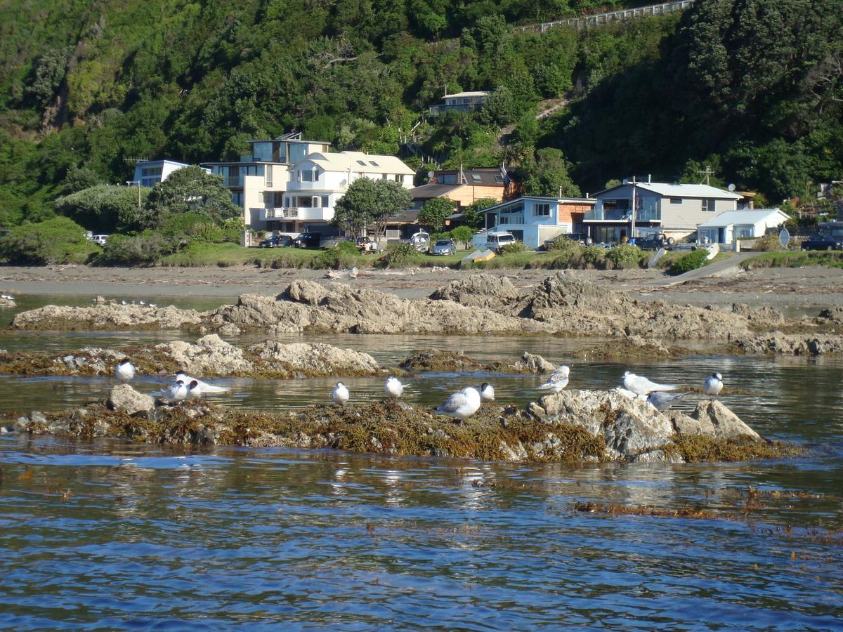 Kapiti Waves Bed & Breakfast Pukerua Bay Kültér fotó